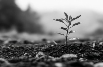 Этапы сделки без потерь: практическое руководство от первого шага до финального подписания