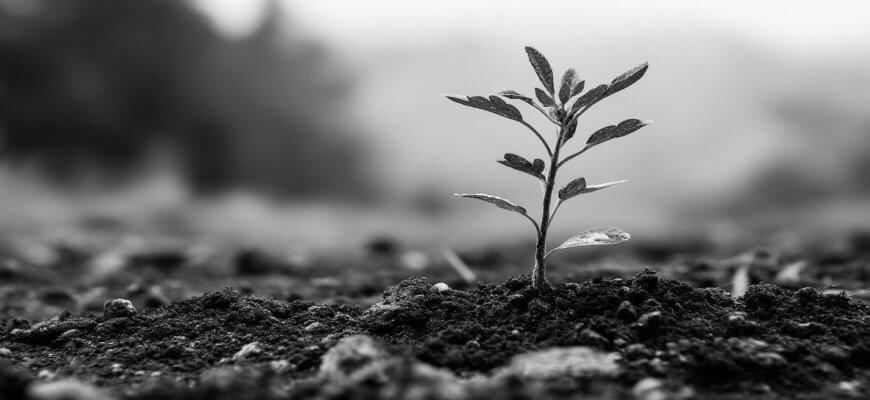 Этапы сделки без потерь: практическое руководство от первого шага до финального подписания